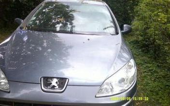 Peugeot 407 Saint-Denis-en-Val