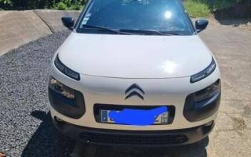 Citroen c4 cactus Saint-Cyr-au-Mont-d'Or