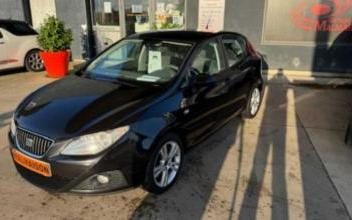 Seat Ibiza Payns