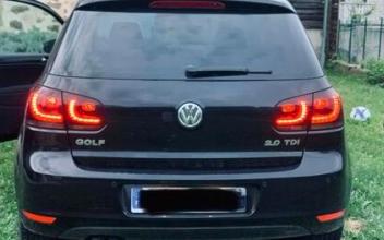 Volkswagen golf Félines