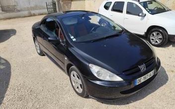 Peugeot 307 Josnes