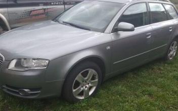 Audi a4 Taxat-Senat