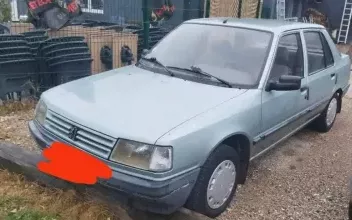 Peugeot 309 Ingwiller