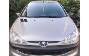 Peugeot 206 Pluduno