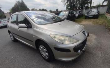 Peugeot 307 Linas