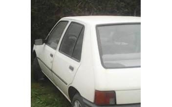 Peugeot 205 Lozon