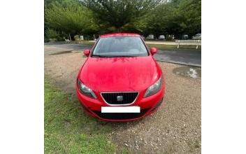 Seat ibiza La-Frette-sur-Seine