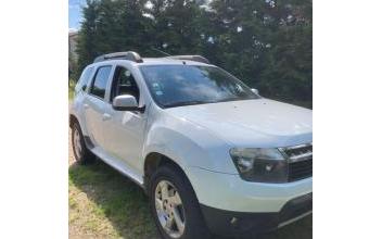 Dacia duster Félines