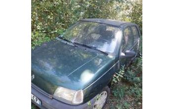 Renault clio Salornay-sur-Guye