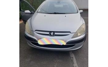 Peugeot 307 Montargis