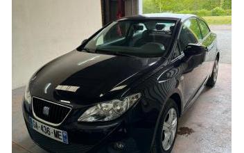 Seat Ibiza Briare