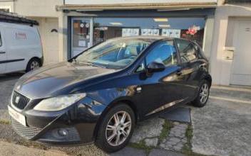 Seat ibiza Saint-Barthélemy-d'Anjou