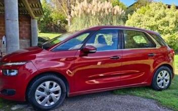 Citroen c4 picasso Branne