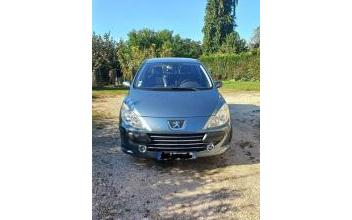 Peugeot 307 Saint-Sauveur-en-Puisaye