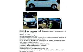 Peugeot 208 Desvres