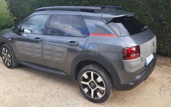 Citroen c4 cactus Jardin