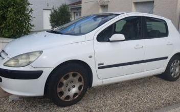 Peugeot 307 Mornant