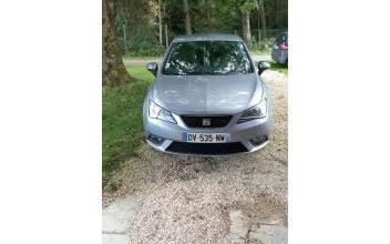 Seat ibiza Kappelkinger