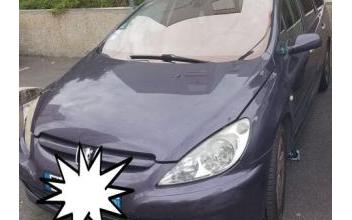 Peugeot 307 sw Les-Ulis