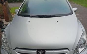 Peugeot 307 sw Idaux-Mendy