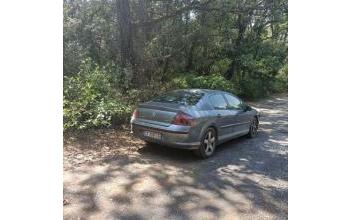 Peugeot 407 Bassan