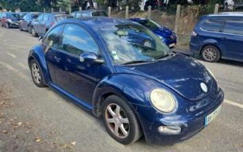 Volkswagen beetle Toulouse