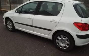 Peugeot 307 Fay-de-Bretagne