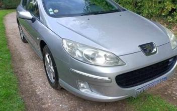 Peugeot 407 Canchy