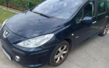 Peugeot 307 Les-Essarts-le-Roi