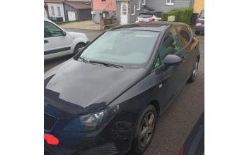 Seat ibiza Muhlbach-sur-Bruche