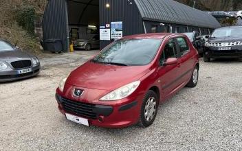 Peugeot 307 Sathonay-Camp