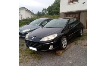 Peugeot 407 Bains-les-Bains